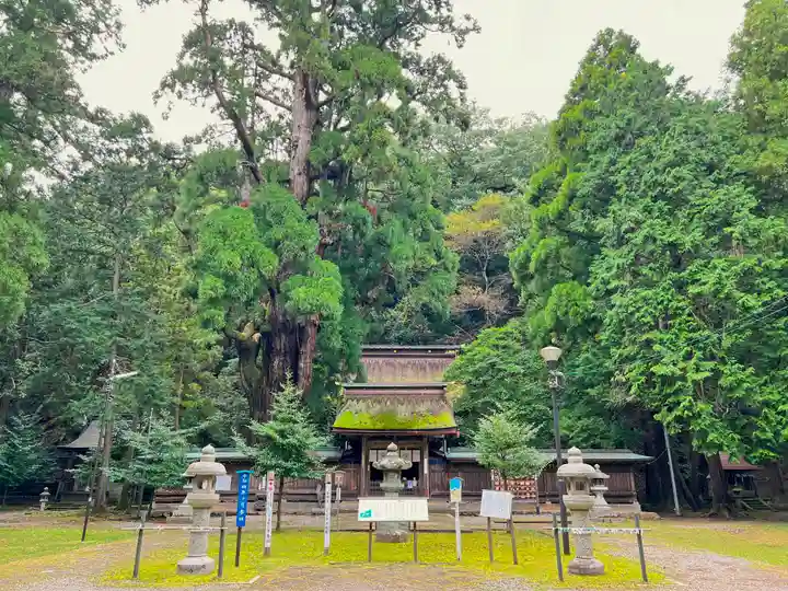 若狭姫神社(若狭彦神社下社)(福井県)