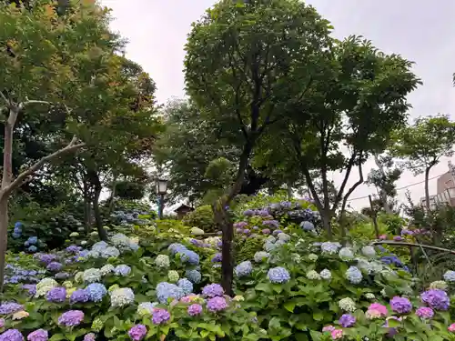 白山神社(東京都)