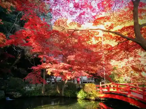 貫井神社の庭園