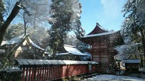 日吉大社の本殿