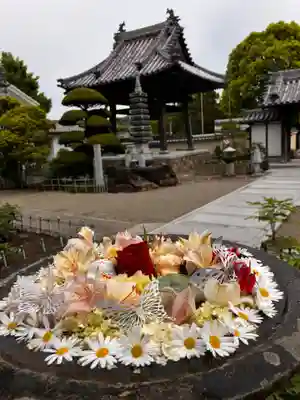 真言宗　善通寺派　薬王寺(香川県)