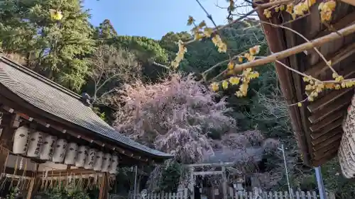 大豊神社(京都府)