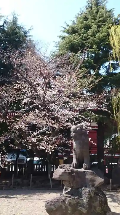 浅草神社(東京都)