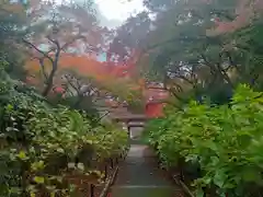 久安寺(大阪府)