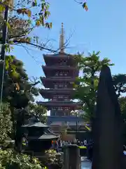 浅草寺(東京都)