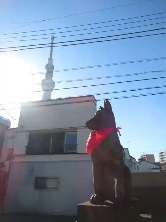 圓通寺(東京都)