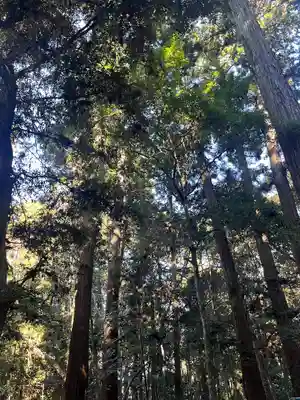 鹿島神宮(茨城県)