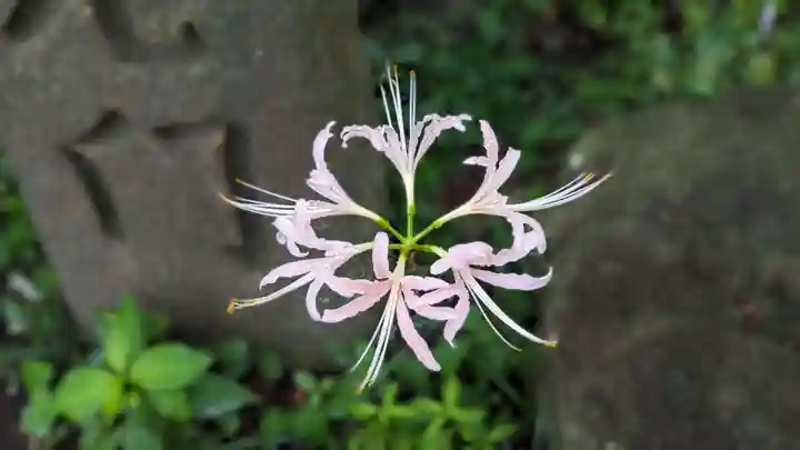 常泉寺(神奈川県)