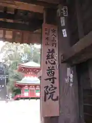 慈尊院の建物その他