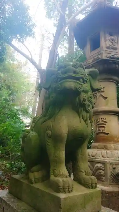 尾張大國霊神社(国府宮)の狛犬