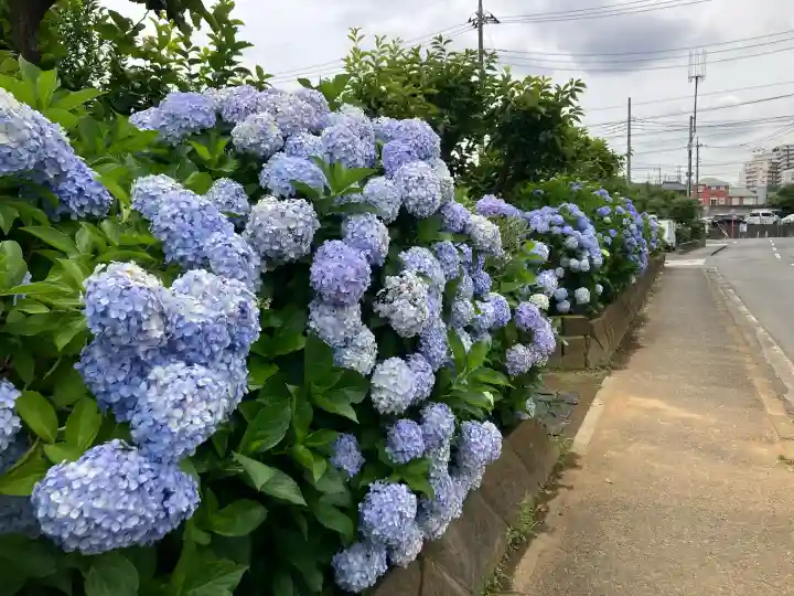 天台宗 長窪山 正覚寺(神奈川県)