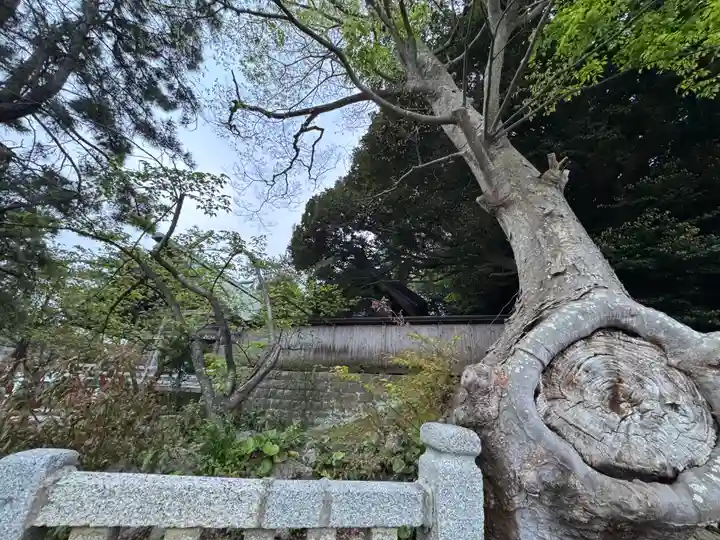 水祖神社(港町)(島根県)