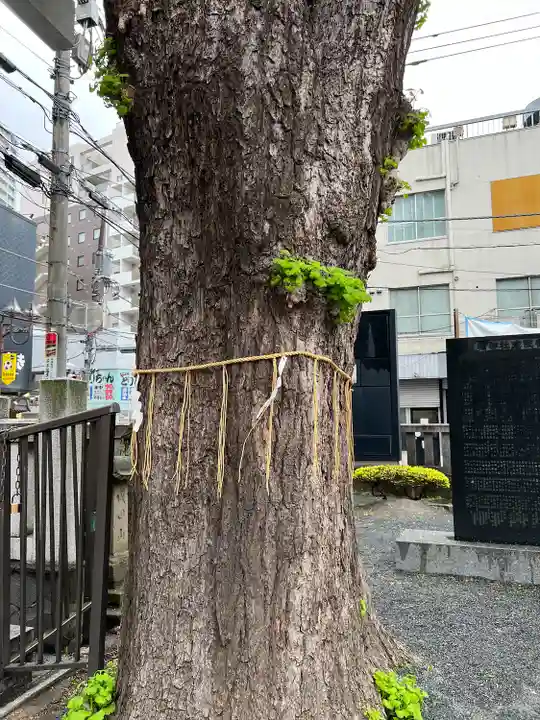 柏神社(千葉県)