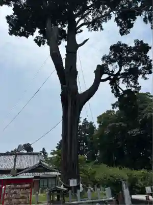 矢奈比賣神社（見付天神）(静岡県)