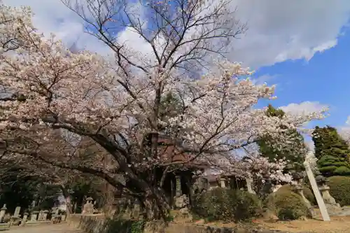 十念寺の末社