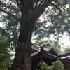 田無神社の自然