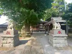 印内八坂神社の狛犬