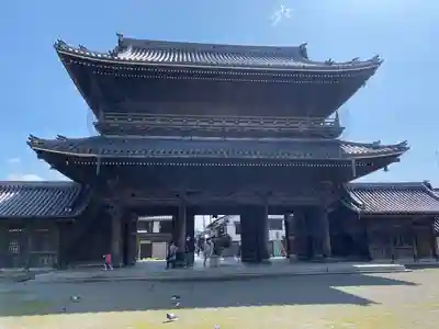 大通寺(長浜御坊)の山門・神門