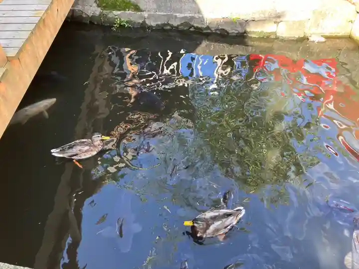 善知鳥神社(青森県)
