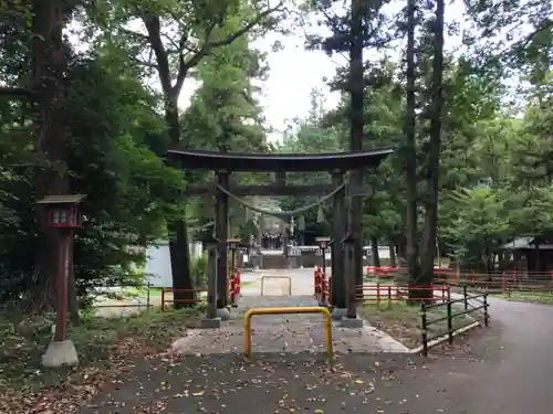 安房神社の鳥居