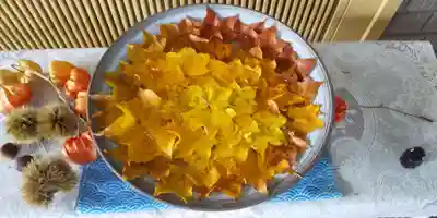 美瑛神社の手水舎