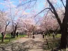 北海道神宮の自然