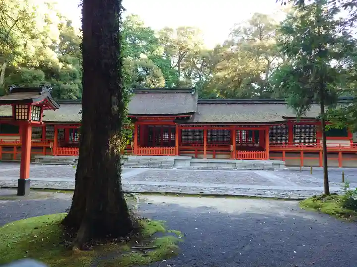 宇佐神宮(大分県)