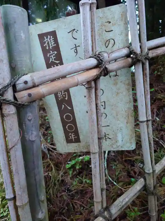 戸隠神社中社(長野県)