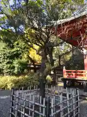 根津神社の自然