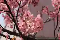 阿邪訶根神社の自然