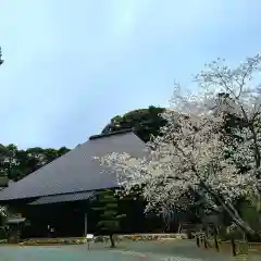 本興寺(静岡県)