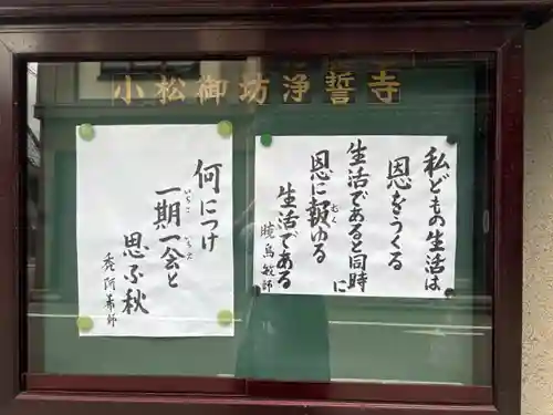 浄誓寺(石川県)