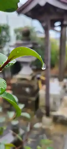 横浜御嶽神社(神奈川県)