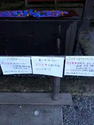 前玉神社の手水舎