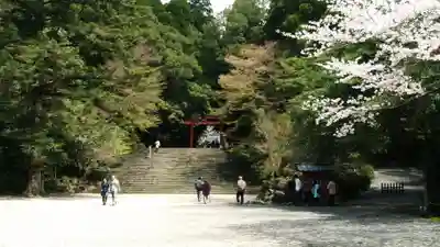 霧島神宮(鹿児島県)