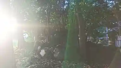 神明社(千葉県)