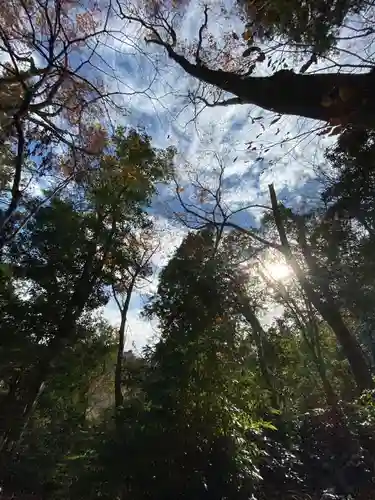 高尾山薬王院の自然