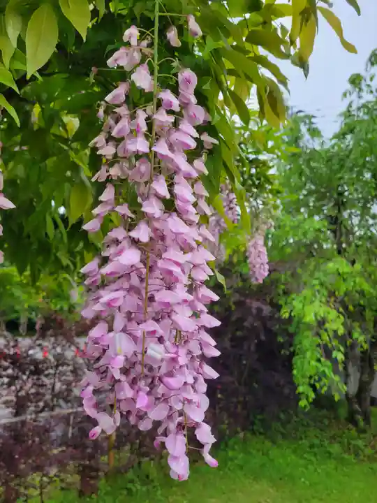 和気神社(鹿児島県)