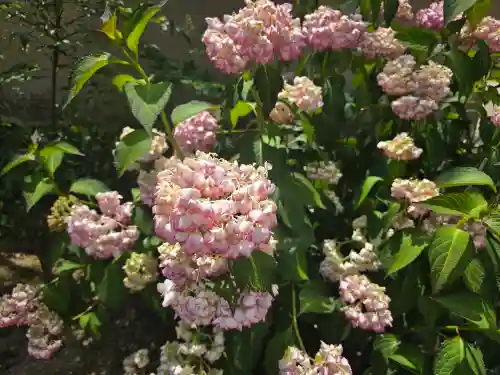 華蔵院(奈良県)
