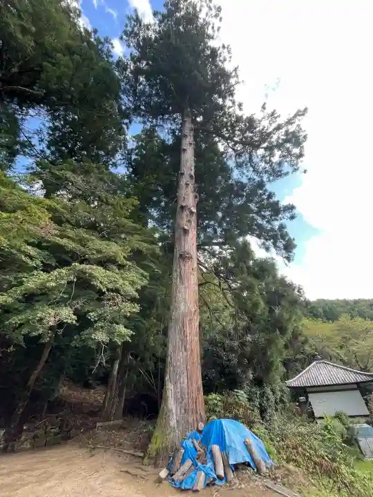 九頭神社(奈良県)
