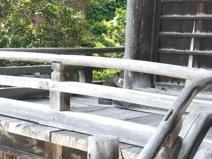 日置神社の{uncategorized: "未分類", other: "その他", undefined: "問題あり", building: "その他建物", grave: "お墓", sacred_gate: "鳥居", guardian: "狛犬", statue: "像", buddha: "仏像", history: "歴史", nature: "自然", garden: "庭園", animal: "動物", pagoda: "塔", temizu: "手水舎", mountain_gate: "山門・神門", sanctuary: "本殿・本堂", subordinate: "末社・摂社", art: "芸術", scenery: "景色", jizo: "地蔵", ema: "絵馬", goshuin: "御朱印", omikuji: "おみくじ", items: "授与品その他", amulet: "お守り", goshuincho: "御朱印帳", eats: "食事", festival: "お祭り", votive_dance: "神楽", shichigosan: "七五三参", wedding: "結婚式", experience: "体験その他", initially: "初詣", around: "周辺", anti_infection: "感染症対策"}