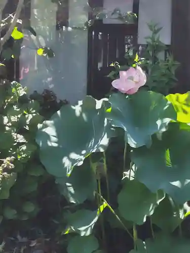 来福寺(福島県)