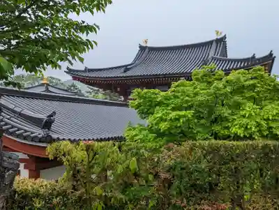 平等院(京都府)