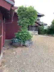 椿明神社の建物その他