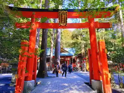 椿大神社の鳥居