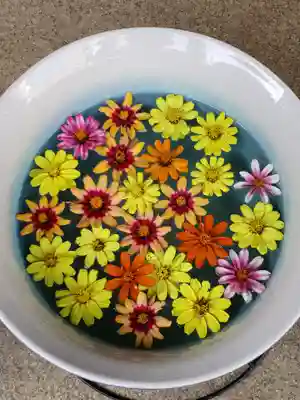 白金氷川神社(東京都)