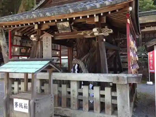 松尾大社のその他建物