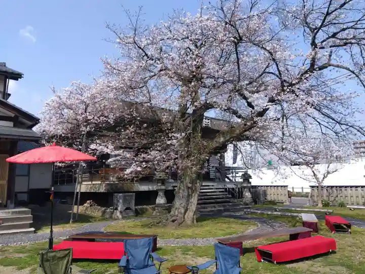 妙経寺(福井県)