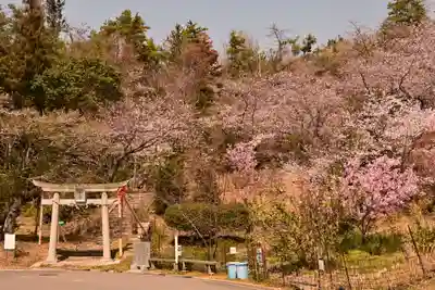 西部八幡神社(愛媛県)