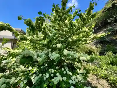 白毫寺熊野権現社(兵庫県)